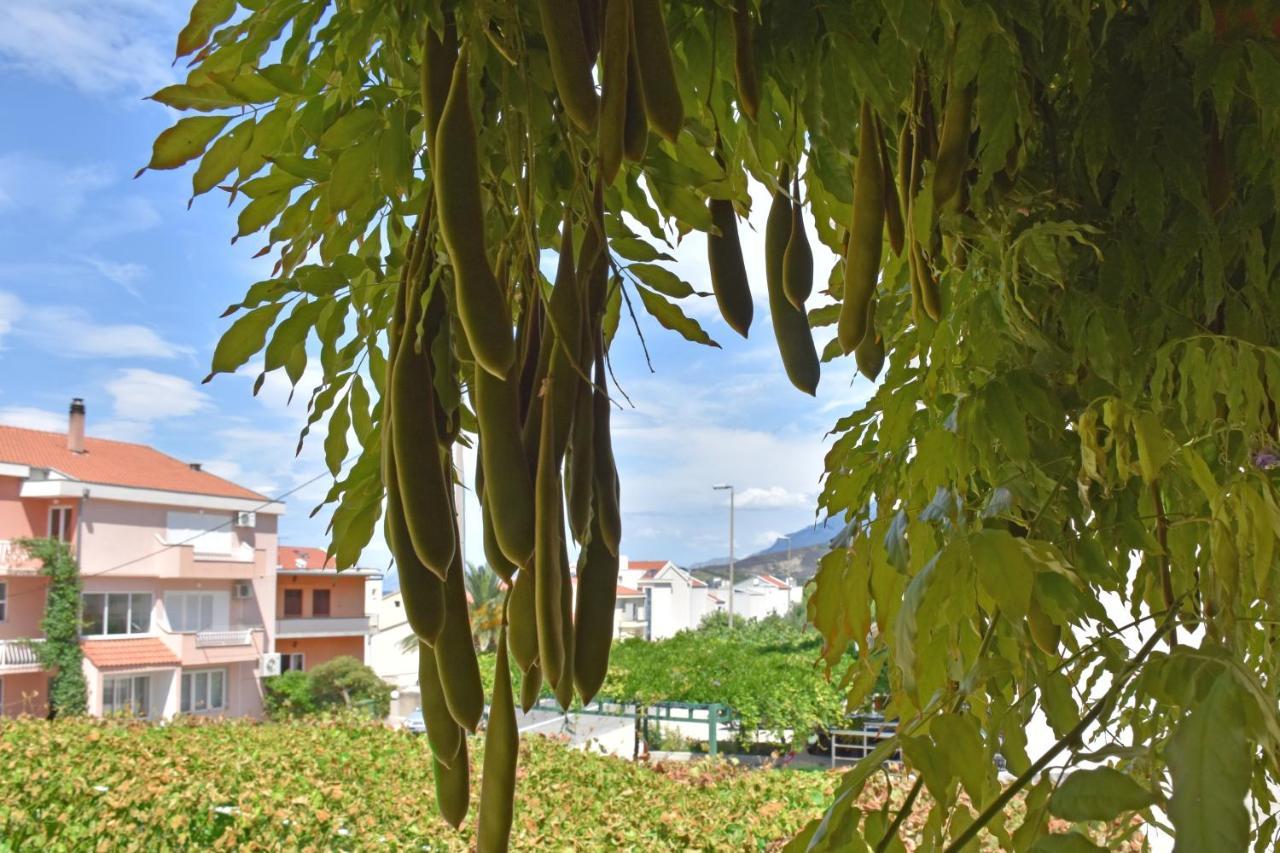 Apartments Stone Tucepi Bagian luar foto